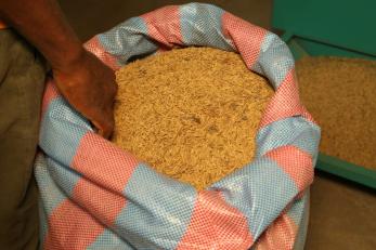 A large bag of rice