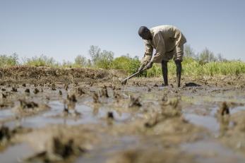 farmer working in muddy field