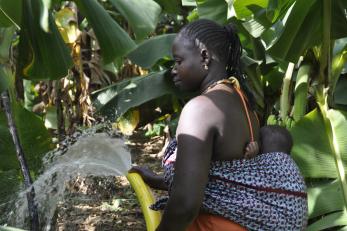 woman carrying baby on her back in banana grove