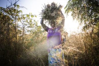 woman carrying a basket on her head