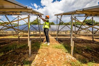 A solar energy technician examines equipment.