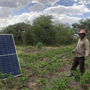 Man standing in field with solar panel