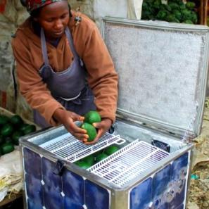 African woman pulling fruits from a refrigerator. 