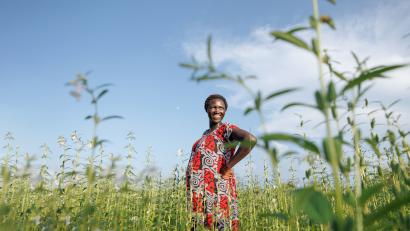 A person waiting in a field.