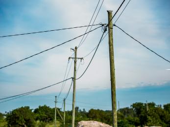 utility poles