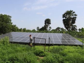 Man walks in front of a solar panel array.