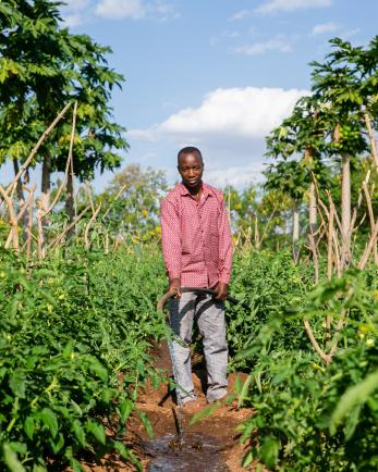 man watering field