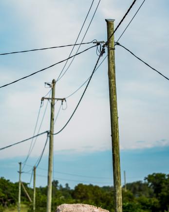 utility poles