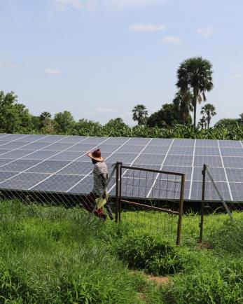 Man walks in front of a solar panel array.