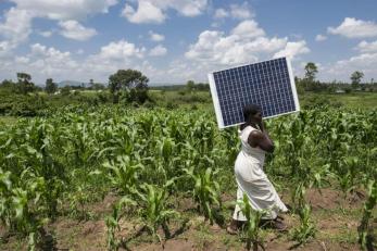Woman carrying solar panel in field