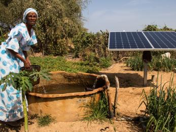 Woman gathering water near solar panel