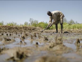 Farmer working in muddy field