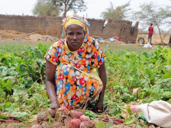Woman picking produce in a field