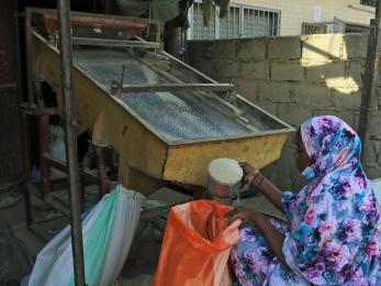 Woman kneeling to process rice