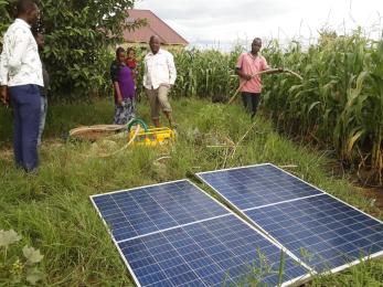 People standing near solar panels