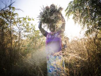 Woman carrying a basket on her head