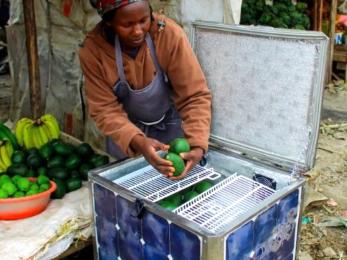 African woman pulling fruits from a refrigerator. 